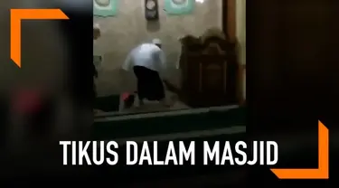 Seekor tikus besar tertangkap berkeliaran di dalam masjid. Jemaah yang melihatnya langsung coba menangkap, namun mereka malah geli hingga lari terbirit-birit.