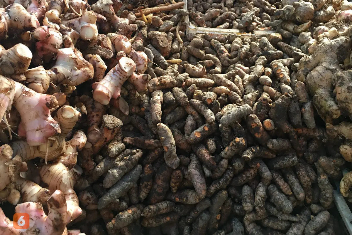 Rempah-Rempah Jamu