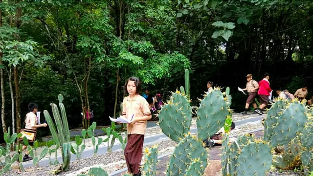Kebun Raya Jompie
