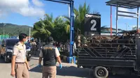 Pemeriksaan terhadap puluhan ternak sapi dari Ternate yang masuk ke Sulut melalui Pelabuhan Bitung.