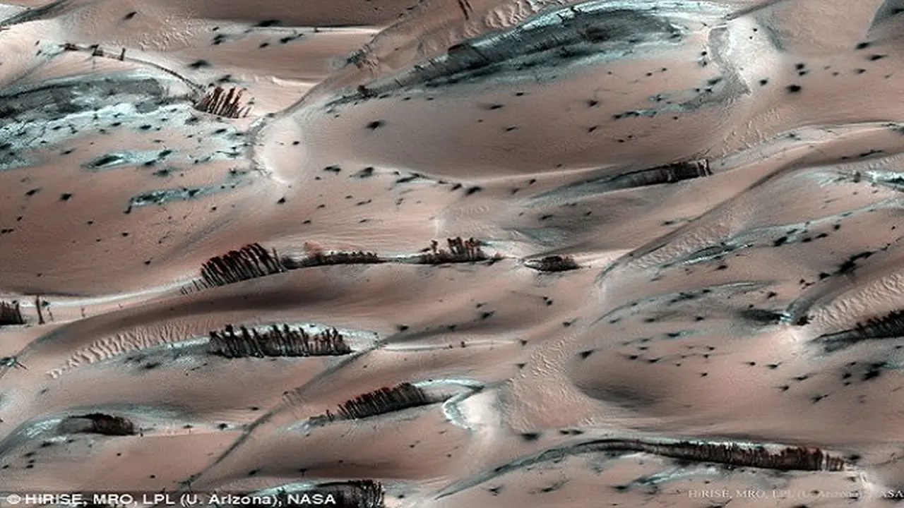 Ada Hutan di Planet Mars, Benar atau Tidak?