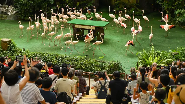 Jurong Bird Park Singapura Resmi Ditutup Selamanya Setelah 52 Tahun Beroperasi