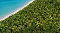 Pulau Cocos (Keeling) di Australia. (Dok. Web Cocos Keeling Island)