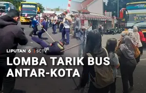 Tak Hanya 'Bapaq-Bapaq', Tapi Emak-Emak Juga Ikutan Lomba Tarik Bus