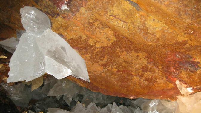 Makhluk Hidup Berusia 50.000 Tahun Ditemukan di Dalam Kristal Global