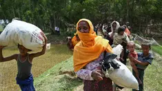 Sejumlah warga Rohingya saat dihadang petugas perbatasan di Ghumdhum, Bangladesh, (28/8). Ribuan muslim Rohingya di Rakhine, Myanmar, melarikan diri dan terjebak di perbatasan Myanmar - Bangladesh. (AP Photo/Mushfiqul Alam)