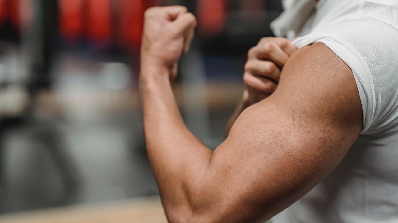 Otot, Gym, dan Fitness