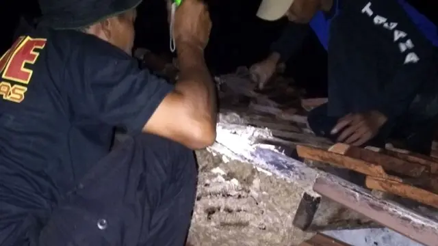 Trik Mujarab Tagana Banyumas Bikin Pingsan Tawon di Sarang Jumbo