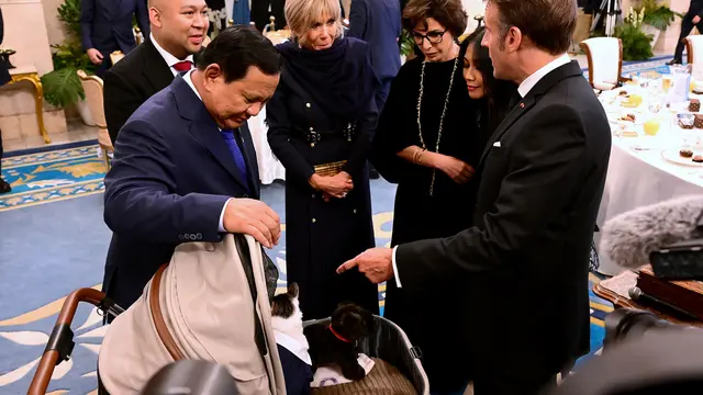 Presiden Prancis Emmanuel Macron dan istrinya, Brigitte Macron bertemu dengan kucing kesayangan Presiden Prabowo Subianto, Bobby Kertanegara.