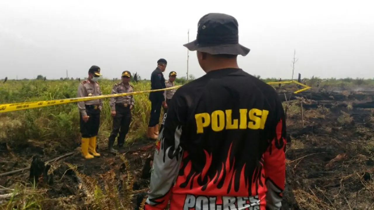 kebakaran hutan riau