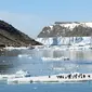 Sejumlah penguin berada di atas bongkahan es di Pulau Heroina, Danger Islands, Antartika (2/3). Para ilmuwan telah menemukan koloni besar penguin yang memiliki sekitar lebih dari 1,5 juta penguin. (Michael Polito / Louisiana State University / AFP)