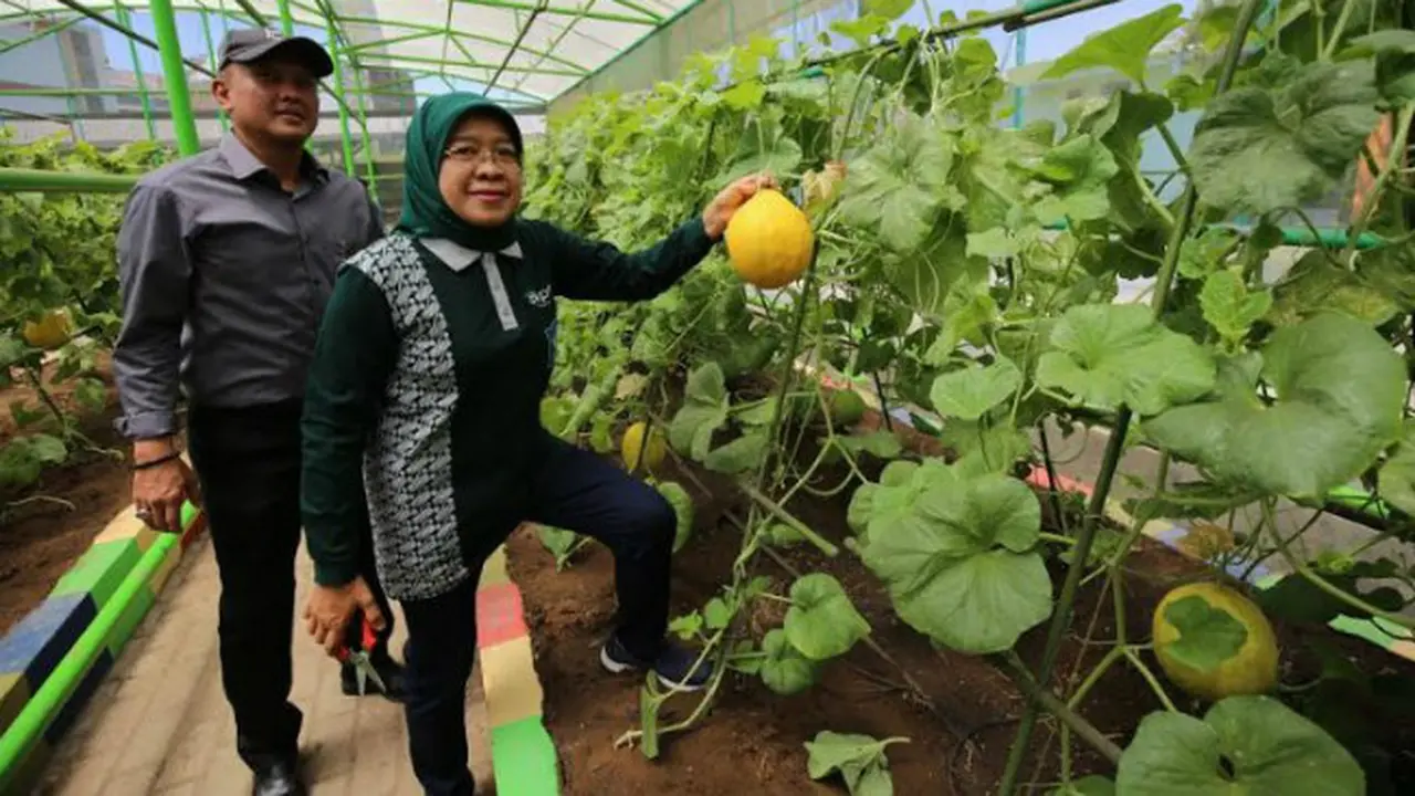 (Foto: Liputan6.com/Dian Kurniawan)