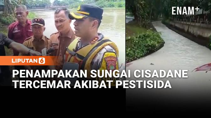 Bukan Sekadar Api Biasa: Menguak Dampak Jangka Panjang 'Bom Waktu' Kimia Kebakaran Gudang Pestisida terhadap Ekosistem Sungai Cisadane