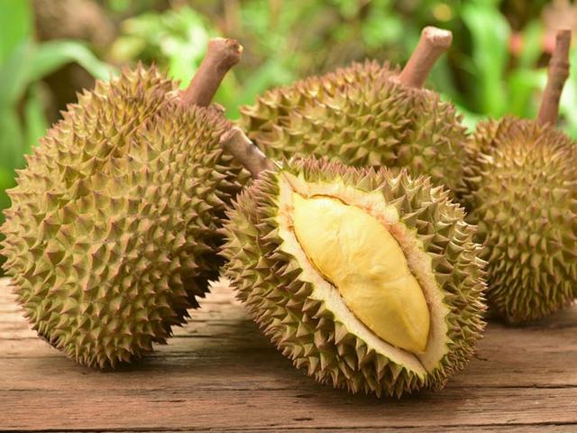 Mari Pesta Durian Sampai Teler Di Pangkalpinang Regional Liputan6 Com