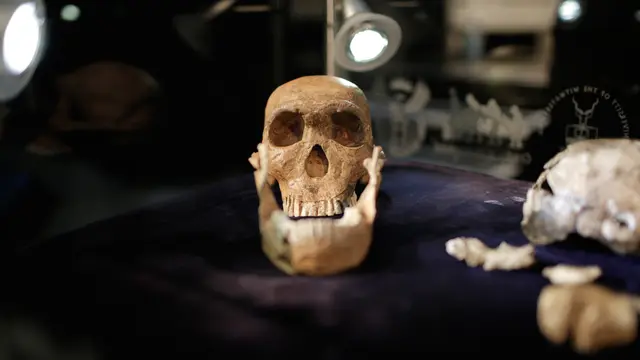 20170512- Manusia Purba- Homo Naledi Hominin-AFP