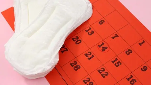 Siklus Menstruasi yang Normal