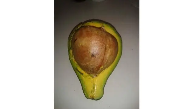 6 Momen Apes saat Mau Makan Buah Ini Bikin Kecewa