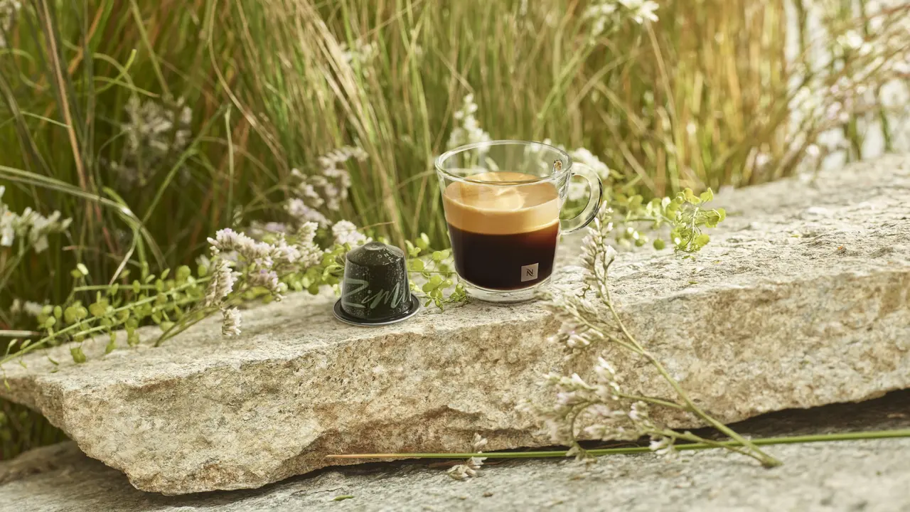 Reviving Origins, Eksplorasi Cita Rasa Kopi di Daerah Terpencil