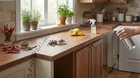 10 Bahan Dapur yang Bisa Membantu Mengusir Semut dari Rumah Secara Alami, Simak Caranya
