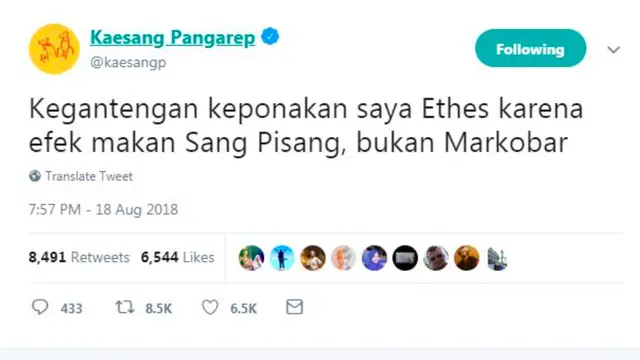 Kaesang Cemburu Jan Ethes Lebih Diidolakan, Begini Kata Warganet