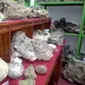 Ada fosil gajah purba ditemukan di Brebes Selatan, Jawa Tengah. (Liputan6.com/Fajar Eko Nugroho)