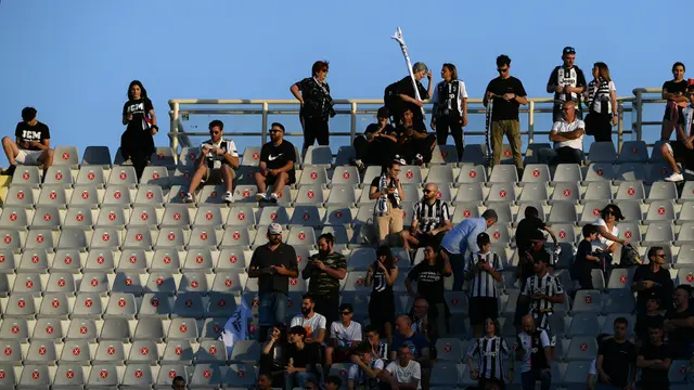 Stadio Artemio Franchi