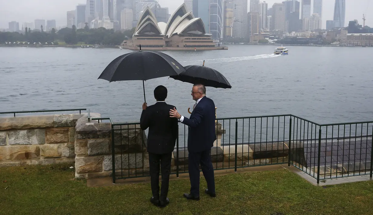 <p>Jokowi dan Anthony Albanese sama-sama menggunakan payung berwarna hitam untuk melindungi diri dari hujan yang turun. (Lisa Maree Williams/Pool via AP)</p>