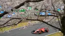 Pembalap Ferrari, Charles Leclerc terlihat melewati pohon sakura saat melakukan latihan bebas kedua (FP2) F1 GP Jepang 2024 di Sirkuit Suzuka, Jepang, Jumat (05/04/2024). (AFP/Yuichi Yamazaki)