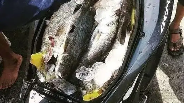 Kumpulan Potret Penyalahgunaan Jok Sepeda Motor yang Bisa Menginspirasi Anda (ist)