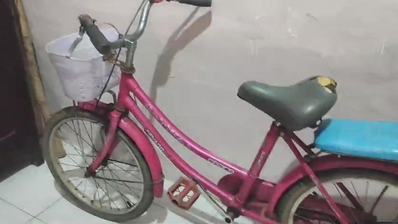 Sepeda kayuh berwarna pink saksi bisu kasus pembunuhan disertai pemerkosaan CNA 7 Tahun di Desa Kalibarumanis , Banyuwangi (Istimewa)