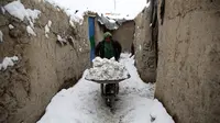 Pengungsi membawa salju dengan gerobak dorong setelah badai salju di sebuah kamp di pinggiran Kabul, Afghanistan, Minggu (12/1/2020). Hujan salju lebat mengakibatkan sebagian besar jalan raya di Afghanistan ditutup karena khawatir akan longsor. (AP Photo/Rahmat Gul)