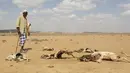 Seorang pria melihat bangkai hewan akibat terkena dampak El Nino di kota Hargeysa selatan, Somalia, (7/4). El Nino merupakan gejala penyimpangan cuaca yang mengakibatkan panas yang berkelanjutan hingga mengalami kekeringan. (REUTERS / Feisal Omar)
