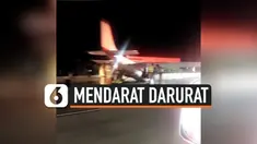 PESAWAT MENDARAT