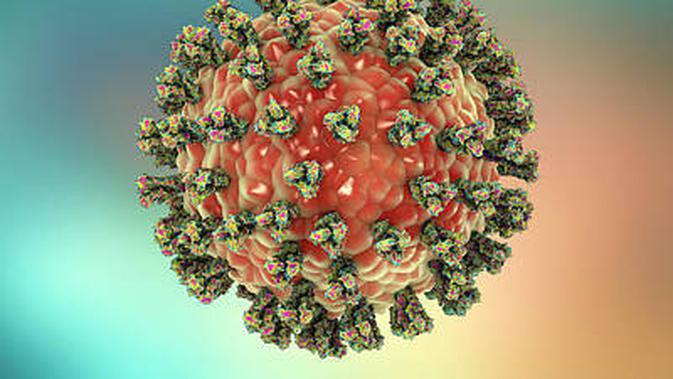 Ilustrasi Paramyxovirus | fineartamerica