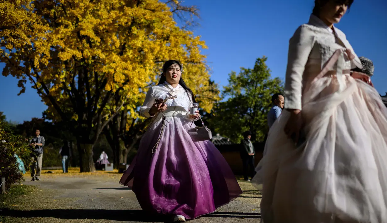 Para wanita mengenakan pakaian tradisional Hanbok berjalan di depan pohon gingko dengan dedaunan musim gugur saat mereka mengunjungi halaman Istana Gyeongbokgung di Seoul pada tanggal 2 November 2023. (ANTHONY WALLACE/AFP)