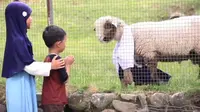 Serunya Berwisata di Edupark Mabda Islam Sukabumi: Beri Makan Satwa Lucu, Memanah, dan Berkuda!