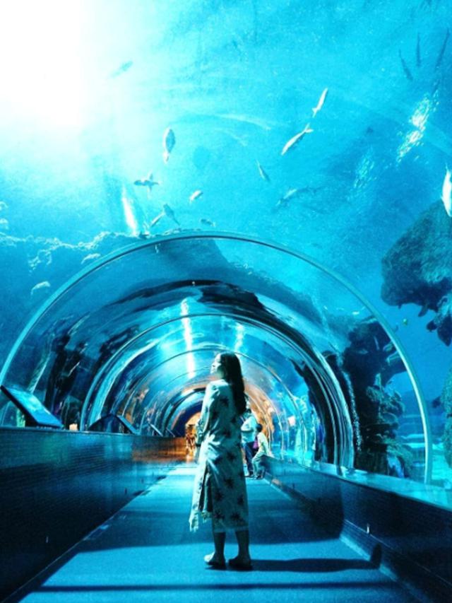 Wajib Tahu, Muslim Friendly Tips Ketika Berlibur di Resorts World Sentosa Singapore