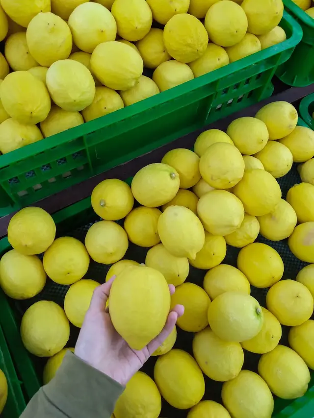 Ilustrasi lemon | Laudia Tysara dari Pexels