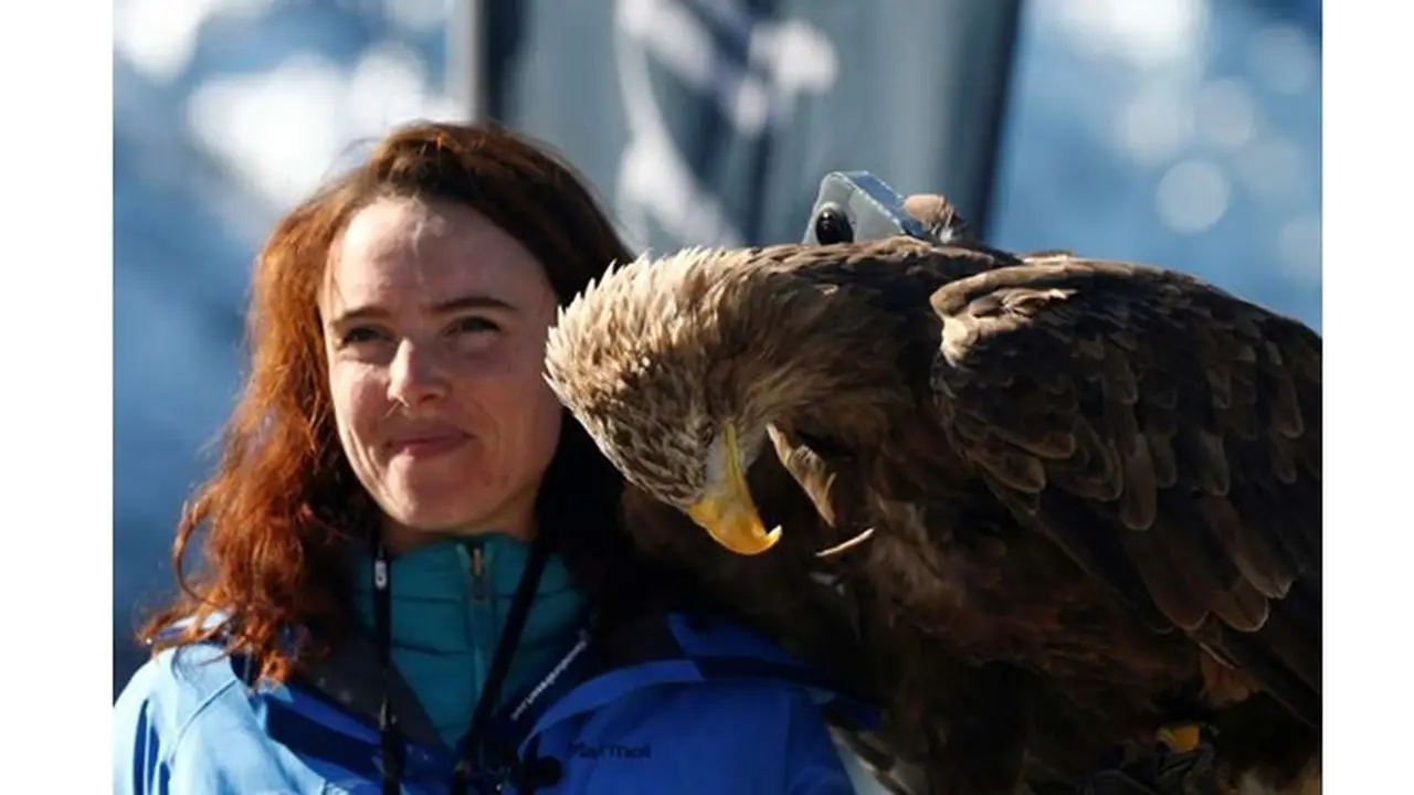 Eagle Wings Foundation