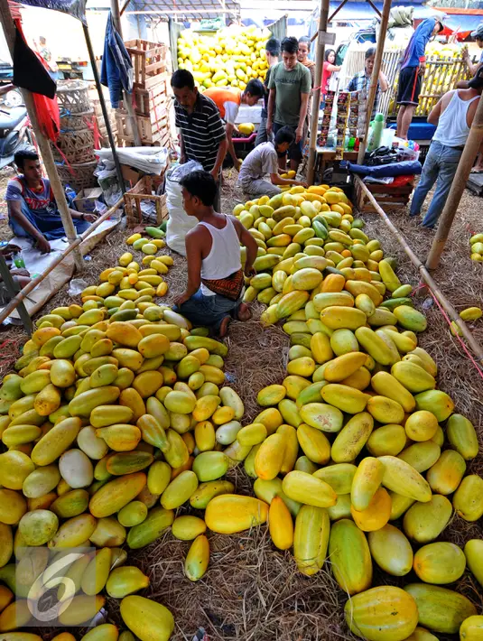 Timun Suri menjadi primadona untuk menu berbuka puasa, Jakarta, Senin (22/6/2015). Memasuki bulan Ramadan permintaan Timun Suri meningkat dengan kisaran harga Rp10.000 -Rp25.000. (Liputan6.com/Yoppy Renato)