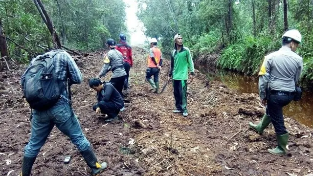 Petugas BBKSDA Riau mengecek jejak harimau di hutan yang sudah ditanam pohon akasia.