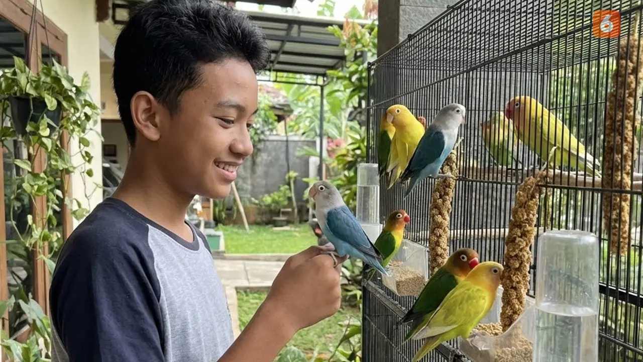 Ide Usaha Ternak untuk Anak Sekolah