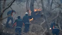 Kebakaran hutan pada sebuah gunung di Yeongdeok, sekitar 350 km sebelah tenggara Seoul, ibu kota Korea Selatan. (Xinhua/NEWSIS)