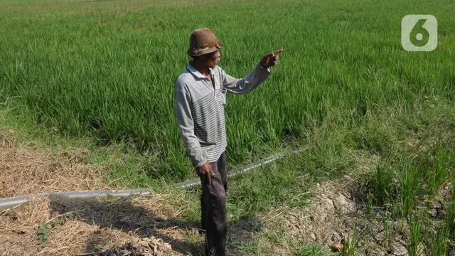 Konversi Pertalite ke Gas