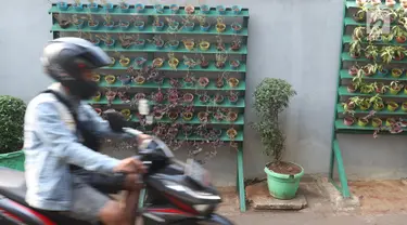 Pengendara melintas di dekat tanaman berkonsep vertikal di Kramat Pela, Jakarta, Selasa (27/8/2019). Minimnya lahan kosong di Ibu kota membuat warga memanfaatkan lahan  untuk bercocok tanam agar terciptanya lingkungan yang bersih, hijau, sehat dan nyaman. (Liputan6.com/Herman Zakharia)