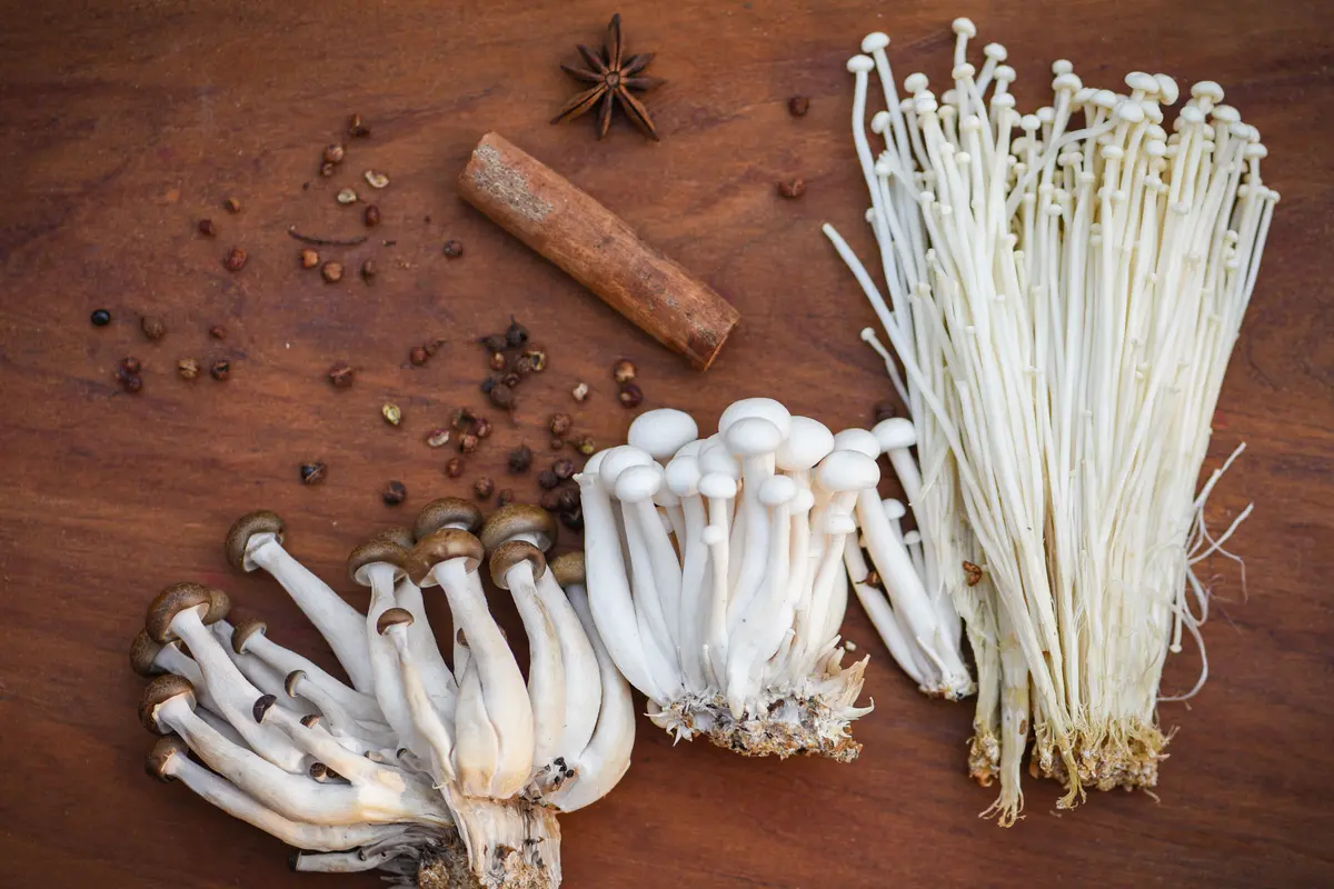 Jamur enoki