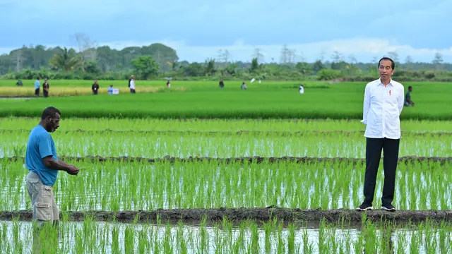 Presiden Joko Widodo (Jokowi) mengunjungi Desa Telaga Sari, Distrik Kurik, Kabupaten Merauke, Provinsi Papua Selatan, Selasa, 23 Juli 2024. (Foto: Muchlis Jr - Biro Pers Sekretariat Presiden)