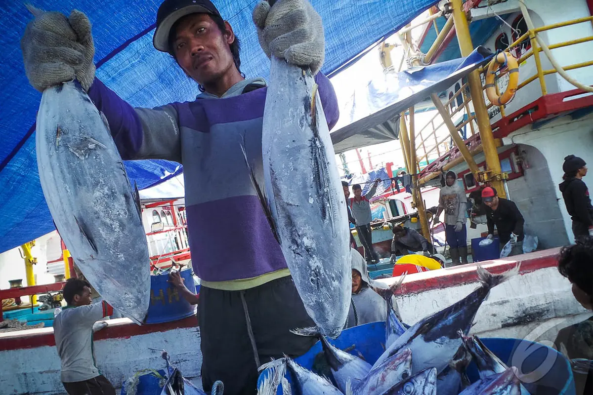 BBM Langka, Harga Ikan Laut Melonjak
