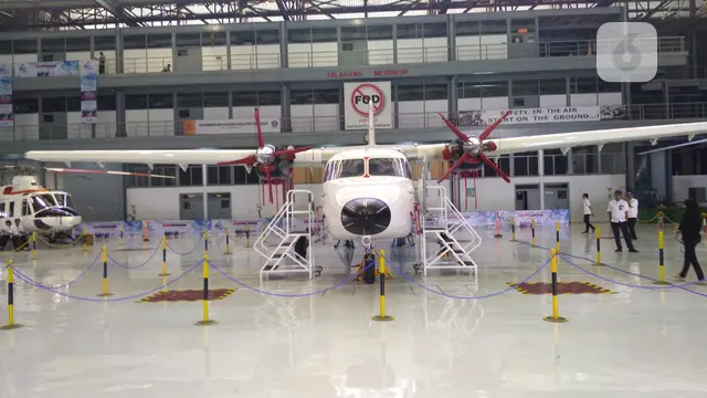 Pesawat N219