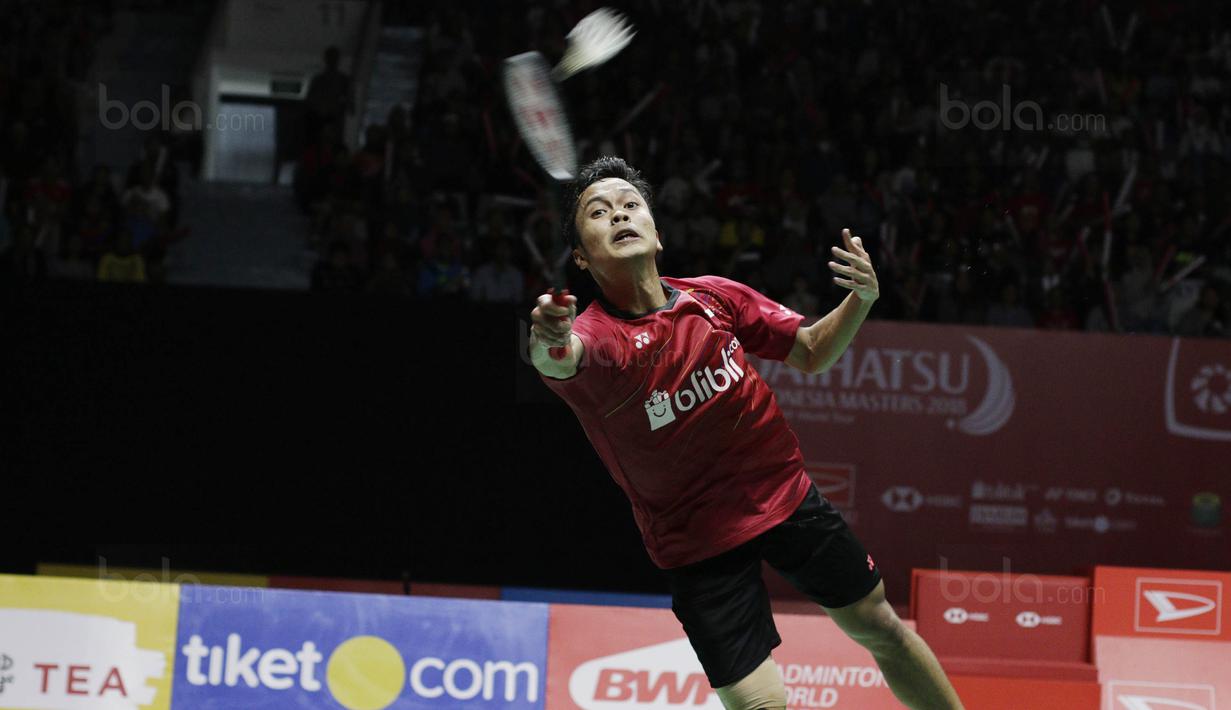 Tunggal putra Indonesia, Anthony Ginting, saat melawan wakil Taiwan, Chou Tien Chen, pada laga semifinal Indonesia Masters 2018 di Istora Senayan, Sabtu (27/1/2018). Anthony Ginting menang 21-16, 13-21, dan 21-12. (Bola.com/M Iqbal Ichsan)